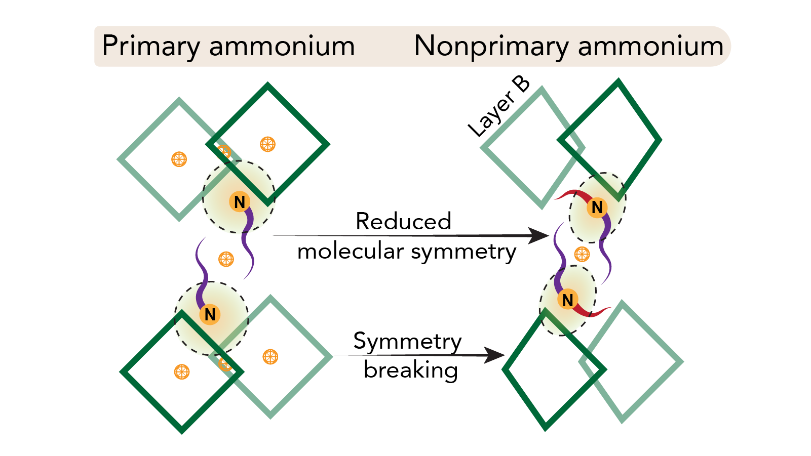 Figure for symmetry breaking with nonprimary ammonium cations