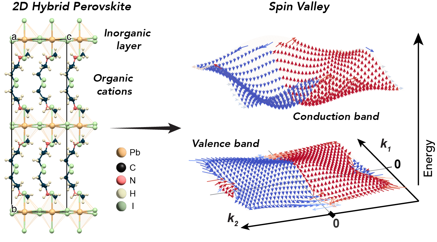 Figure for spin-valley formation and lattice dynamics