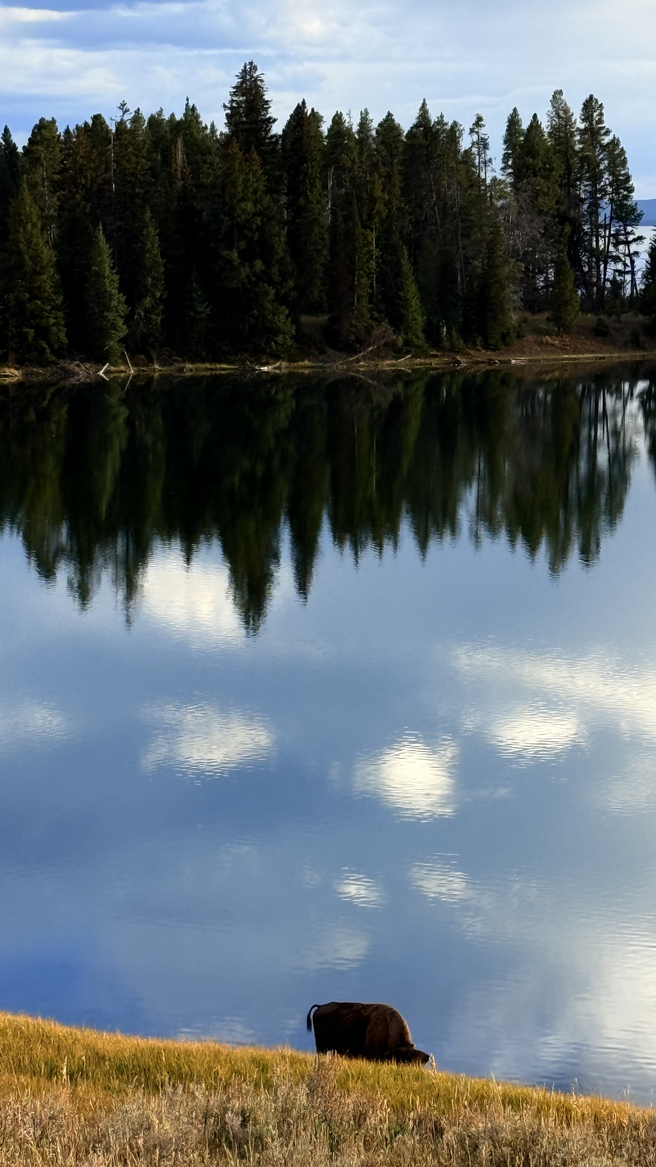 Symmetry photograph 1